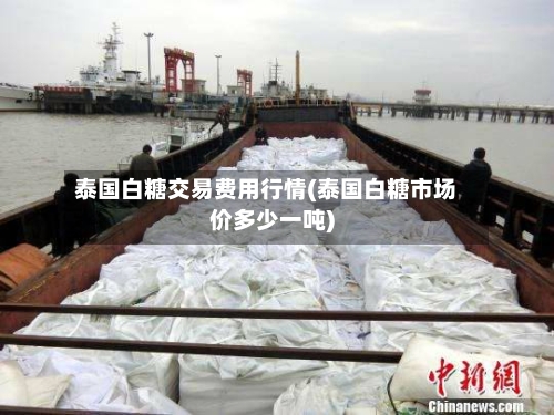 泰国白糖交易费用行情(泰国白糖市场价多少一吨)