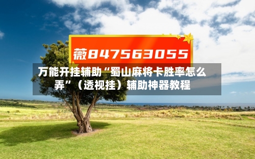 万能开挂辅助“蜀山麻将卡胜率怎么弄	”（透视挂）辅助神器教程-第3张图片