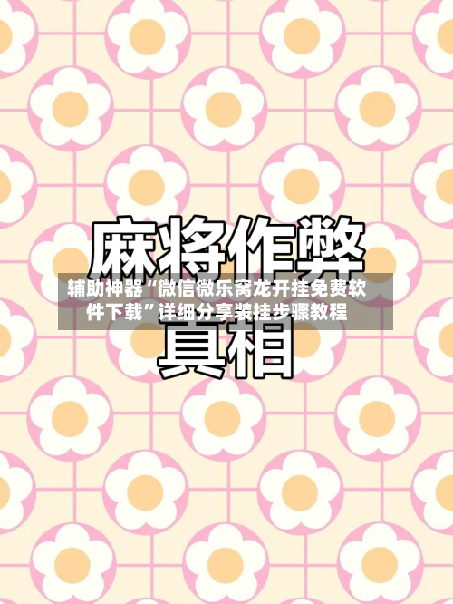 辅助神器“微信微乐窝龙开挂免费软件下载	”详细分享装挂步骤教程-第2张图片