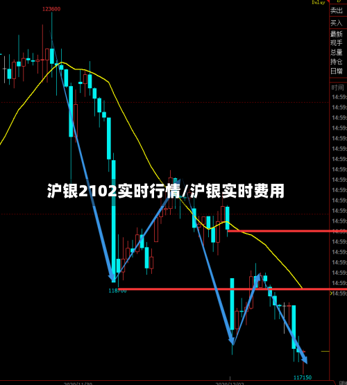 沪银2102实时行情/沪银实时费用