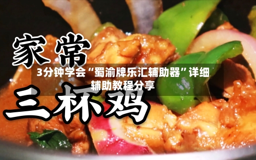 3分钟学会“蜀渝牌乐汇辅助器”详细辅助教程分享-第3张图片