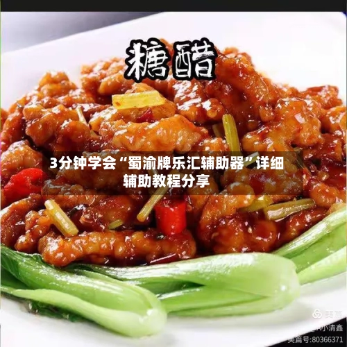 3分钟学会“蜀渝牌乐汇辅助器”详细辅助教程分享-第2张图片