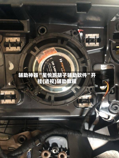 辅助神器“星悦跑胡子辅助软件”开挂(透视)辅助教程-第2张图片