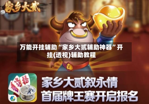 万能开挂辅助“家乡大贰辅助神器”开挂(透视)辅助教程-第2张图片