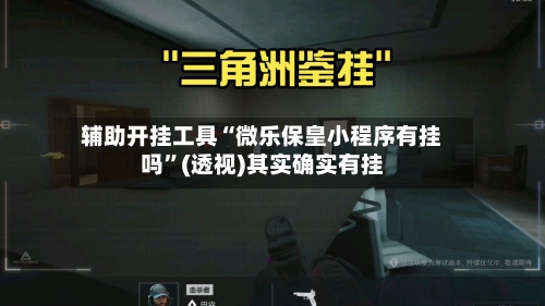 辅助开挂工具“微乐保皇小程序有挂吗”(透视)其实确实有挂-第2张图片