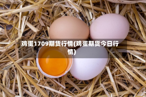 鸡蛋1709期货行情(鸡蛋期货今日行情)
