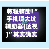 教程辅助!“手机填大坑辅助器(透视)”其实确实有挂-第2张图片