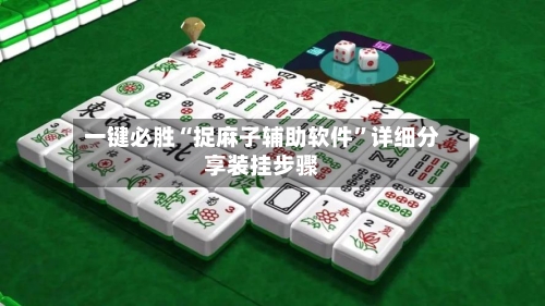 一键必胜“捉麻子辅助软件”详细分享装挂步骤-第2张图片