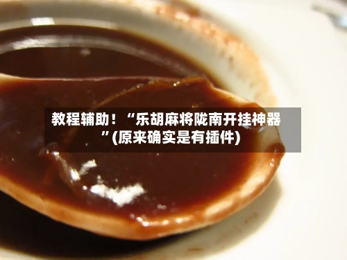 教程辅助！“乐胡麻将陇南开挂神器	”(原来确实是有插件)-第2张图片