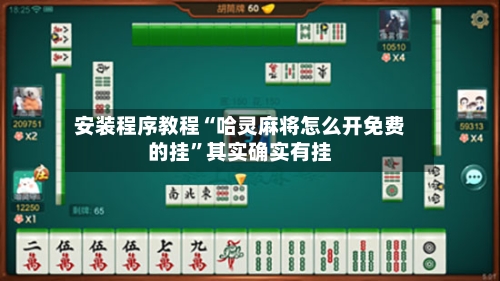 安装程序教程“哈灵麻将怎么开免费的挂”其实确实有挂