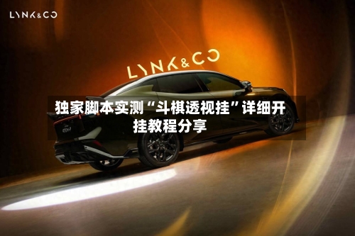 独家脚本实测“斗棋透视挂”详细开挂教程分享-第2张图片