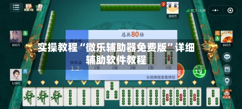 实操教程“微乐辅助器免费版”详细辅助软件教程-第2张图片