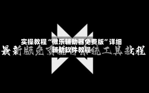 实操教程“微乐辅助器免费版”详细辅助软件教程-第3张图片
