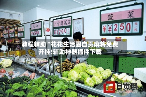 教程辅助“花花生活圈自贡麻将免费开挂!辅助神器插件下载-第3张图片