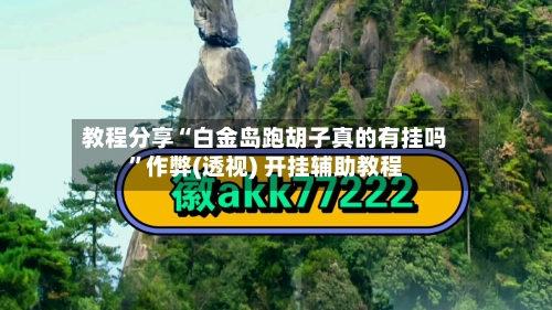 教程分享“白金岛跑胡子真的有挂吗”作弊(透视) 开挂辅助教程-第2张图片