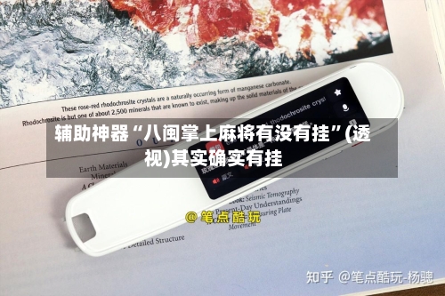 辅助神器“八闽掌上麻将有没有挂”(透视)其实确实有挂