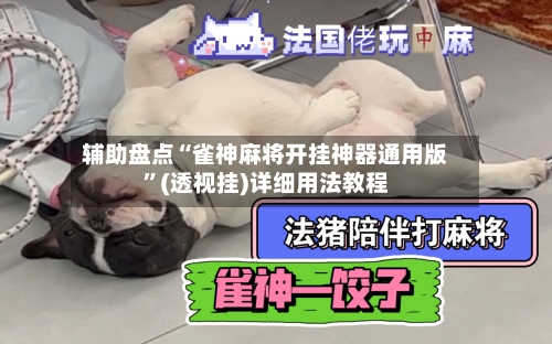 辅助盘点“雀神麻将开挂神器通用版”(透视挂)详细用法教程-第3张图片