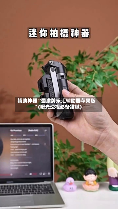 辅助神器“蜀渝牌乐汇辅助器苹果版”(曝光透视必备猫腻)-第2张图片