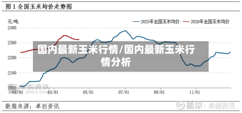 国内最新玉米行情/国内最新玉米行情分析-第2张图片