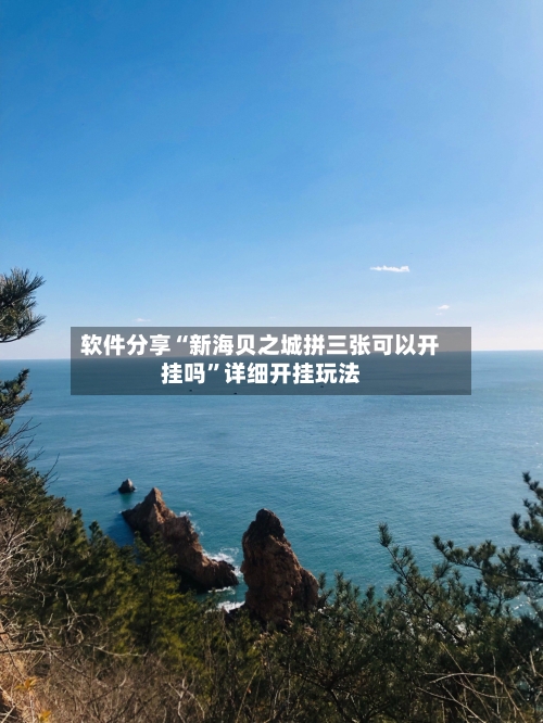 软件分享“新海贝之城拼三张可以开挂吗”详细开挂玩法