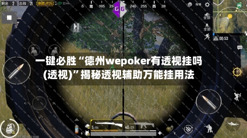 一键必胜“德州wepoker有透视挂吗(透视)”揭秘透视辅助万能挂用法-第2张图片
