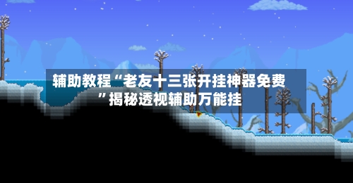 辅助教程“老友十三张开挂神器免费”揭秘透视辅助万能挂-第3张图片