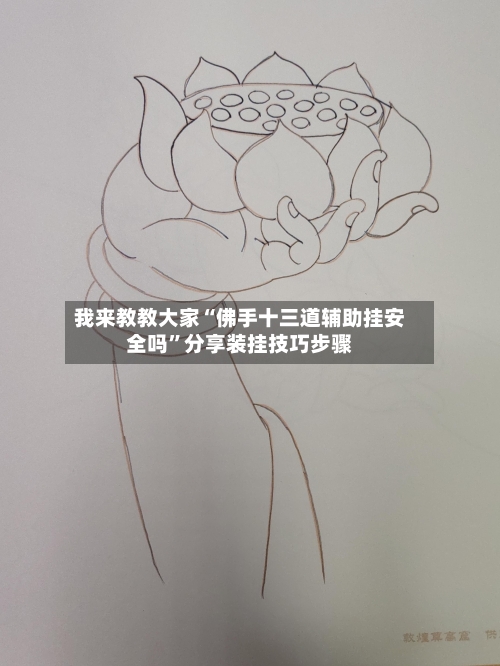 我来教教大家“佛手十三道辅助挂安全吗”分享装挂技巧步骤-第2张图片