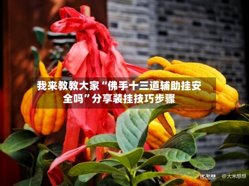 我来教教大家“佛手十三道辅助挂安全吗”分享装挂技巧步骤-第3张图片