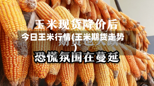 今日王米行情(王米期货走势)-第3张图片