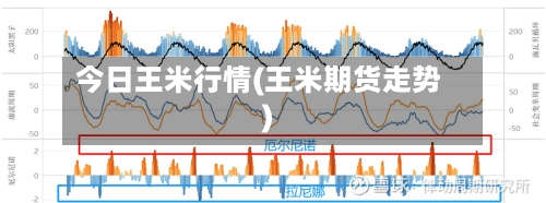 今日王米行情(王米期货走势)