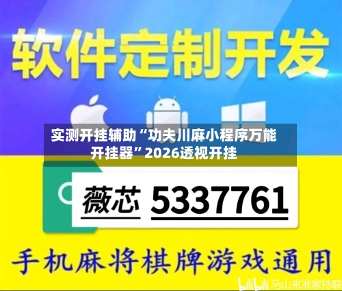 实测开挂辅助“功夫川麻小程序万能开挂器	”2026透视开挂-第3张图片