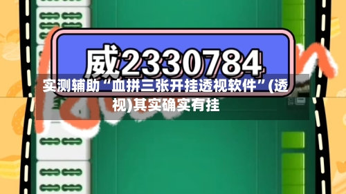 实测辅助“血拼三张开挂透视软件”(透视)其实确实有挂-第3张图片