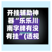 开挂辅助神器“乐乐川南字牌有没有挂”(透视)其实确实有挂-第3张图片