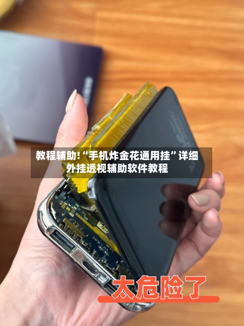 教程辅助!“手机炸金花通用挂”详细外挂透视辅助软件教程-第2张图片
