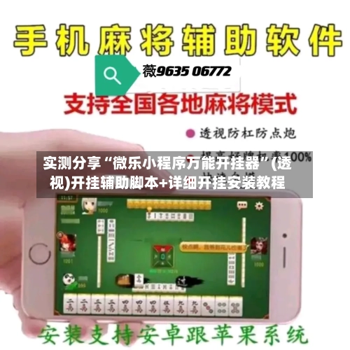实测分享“微乐小程序万能开挂器”(透视)开挂辅助脚本+详细开挂安装教程-第3张图片