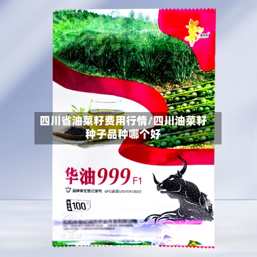 四川省油菜籽费用行情/四川油菜籽种子品种哪个好