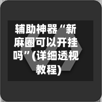 辅助神器“新麻圈可以开挂吗”(详细透视教程)