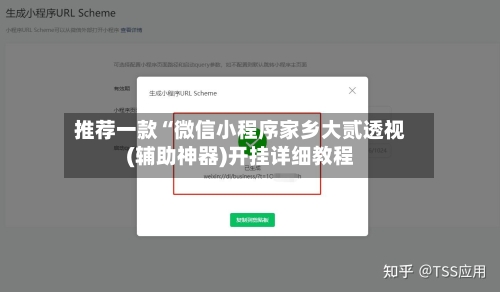推荐一款“微信小程序家乡大贰透视(辅助神器)开挂详细教程-第2张图片