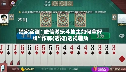 独家实测“微信微乐斗地主如何拿好牌	”作弊(透视)透视辅助-第2张图片