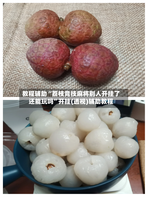 教程辅助“荔枝竞技麻将别人开挂了还能玩吗”开挂(透视)辅助教程-第3张图片