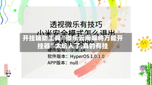 开挂辅助工具“微乐云南麻将万能开挂器”太坑人了,真的有挂-第2张图片