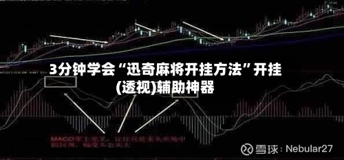 3分钟学会“迅奇麻将开挂方法”开挂(透视)辅助神器-第2张图片