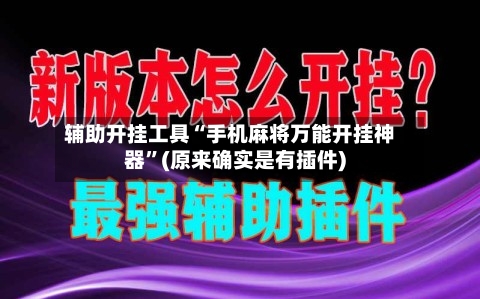 辅助开挂工具“手机麻将万能开挂神器”(原来确实是有插件)