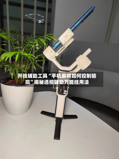 开挂辅助工具“手机麻将如何控制输赢	”揭秘透视辅助万能挂用法-第2张图片