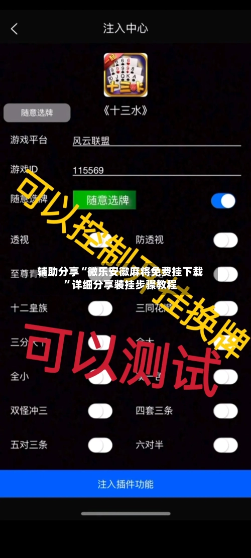 辅助分享“微乐安徽麻将免费挂下载”详细分享装挂步骤教程