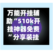万能开挂辅助“510k开挂神器免费	”分享装挂详细步骤-第2张图片