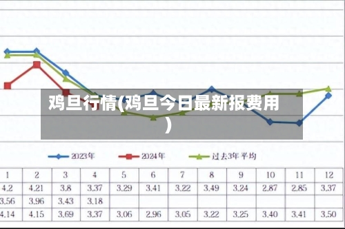 鸡旦行情(鸡旦今日最新报费用)-第2张图片