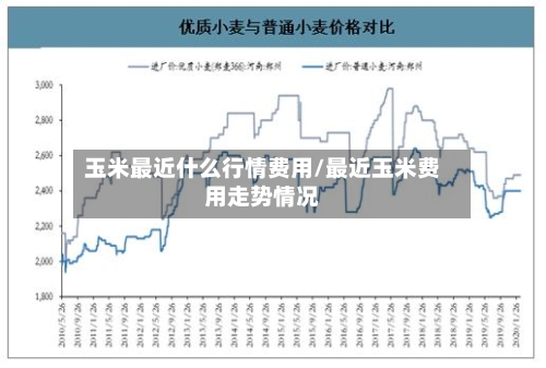 玉米最近什么行情费用/最近玉米费用走势情况-第2张图片