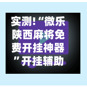 实测!“微乐陕西麻将免费开挂神器”开挂辅助脚本+详细开挂安装教程