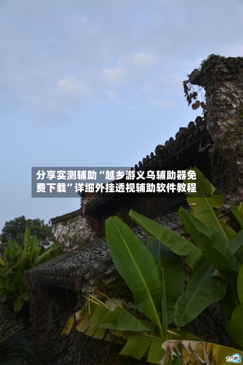 分享实测辅助“越乡游义乌辅助器免费下载”详细外挂透视辅助软件教程-第3张图片